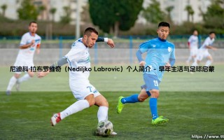 尼迪科·拉布罗维奇个人简介