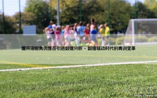 霍芬海姆青训革新之路：数据分析如何重塑青年球员培养体系