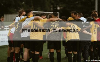 英甲夏窗自由球员流向深度解析