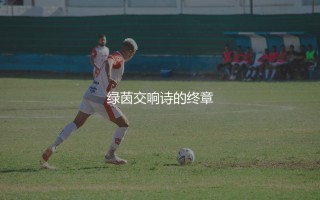 不莱梅上一次德甲冠军哪个赛季？绿茵交响诗的终章