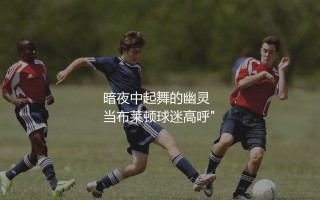 布莱顿格鲁达啥水平？海鸥暗夜中起舞的幽灵