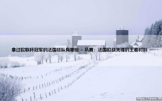 拿过欧联杯冠军的法国球队有哪些？探秘法甲劲旅的欧战荣耀之路
