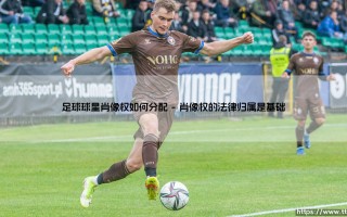 足球球星肖像权如何分配「足坛哨声」