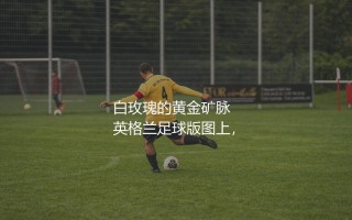 利兹联青训出品过哪些球星？白玫瑰的黄金矿脉
