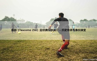 兹林足球俱乐部简介：探寻捷克小镇的足球传奇——兹林（Tescoma Zlin）足球俱乐部