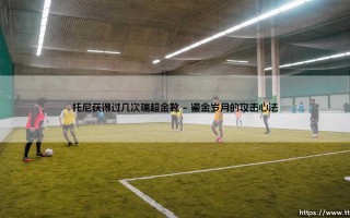 托尼获得过几次瑞超金靴？走进北欧射手的封神往事