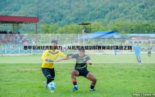 意甲赛场的非洲力量：塑造亚平宁足球的非凡影响力