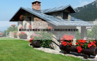 美洲杯足球赛亚军次数排名：谁是南美足球的「无冕之王」？盘点美洲杯历史最悲情陪跑者