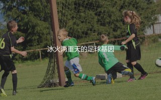 挪威国家足球队为什么总是无缘世界大赛？冰火两重天的足球基因