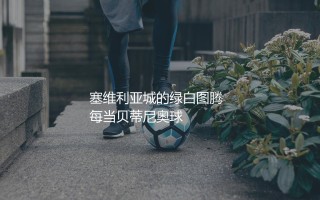 皇家贝蒂斯队史知名球星有哪些？塞维利亚城的绿白图腾
