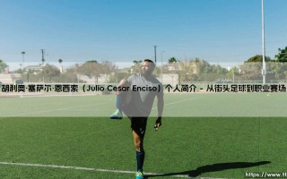 胡利奥·塞萨尔·恩西索个人简介