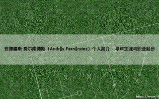 安德雷斯·费尔南德斯：一位门将的职业生涯与人生抉择