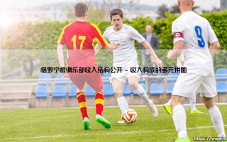 格罗宁根俱乐部收入结构公开：解析格罗宁根俱乐部财政透明度之路