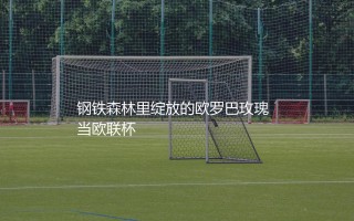 法兰克福不败夺得欧联杯冠军主力阵容：钢铁森林里绽放的欧罗巴玫瑰