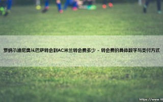 罗纳尔迪尼奥从巴萨转会到AC米兰转会费揭秘