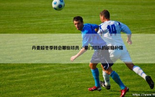 丹麦超冬季转会哪些球员：盘点那些改变联赛格局的关键引援？