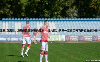 阿德巴约都效力过哪些英超联赛的球队——天体足球