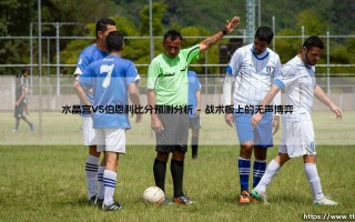 水晶宫VS伯恩利比分预测分析：是坚守还是变革的信号？