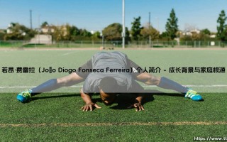 若昂·费雷拉是谁？——探索「João Diogo Fonseca Ferreira」的多彩人生