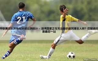 法甲联赛球队所有权外资比例统计？为什么我们需要关注「法甲联赛球队所有权外资比例统计」——欧洲足球的资本秘密正在被慢慢揭开