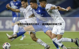 世界杯荣耀背后的泪水，荣耀背后的泪水：那些鲜为人知的代价