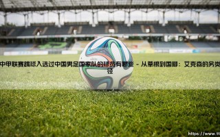 在中甲联赛踢球入选过中国男足国家队的球员有哪些【远方的球门】