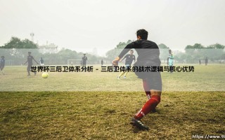 世界杯三后卫体系分析（李老师说球）