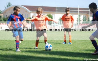 内科南曾经在德乙的哪支球队效力——一段伊朗中场的德国足球生涯