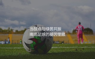 南非鼓点与绿茵共振：盘点南非队知名的足球明星球员