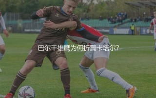 塞尔维亚队在2022年世界杯排名第几？巴尔干雄鹰为何折翼卡塔尔？