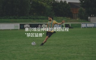 米特罗维奇在英超有多少进球？塞尔维亚神锋的英超征程 "禁区猛兽"