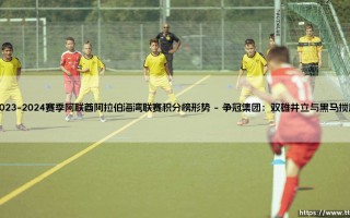 2023-2024赛季阿联酋阿拉伯海湾联赛积分榜形势-悬念揭晓：谁能最终称霸「绿茵战场」？