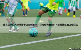 里昂主场灯光球场法甲上座率统计：激情与历史交织的见证