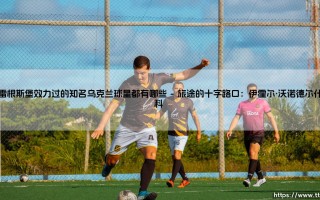 在雷根斯堡效力过的知名乌克兰球星都有哪些-足坛风向标