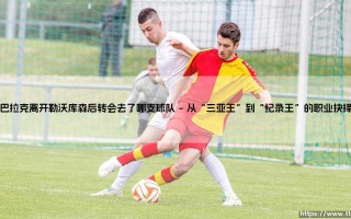 巴拉克离开勒沃库森后转会去了哪支球队——揭秘德国巨星的下一站征程