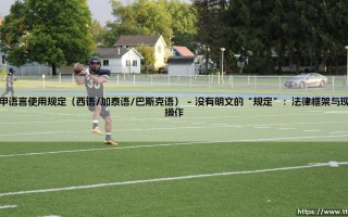 西甲语言使用规定：球场上的多语言交响曲，还是文化冲突的导火索？「西语/加泰语/巴斯克语」