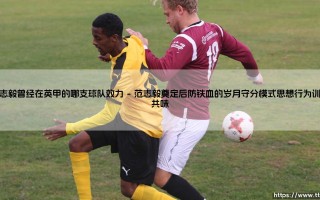 范志毅曾经在英甲的哪支球队效力：水晶宫的中国传奇故事