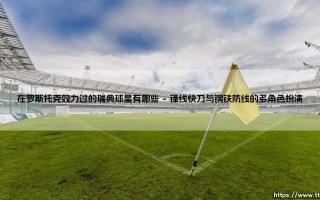 在罗斯托克效力过的瑞典球星有哪些「足球情报站」
