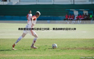 弗赖堡足球俱乐部：一座城市的百年足球史诗，始于1904年的初心
