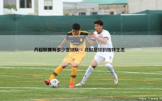 丹超联赛有多少支球队？全面解析丹麦足球顶级联赛的球队规模
