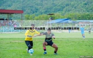 欧协联比赛在哪个平台直播？一文解锁观赛全攻略