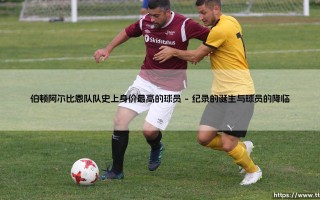 伯顿阿尔比恩队队史上身价最高的球员：一段关于价值与梦想的足球篇章