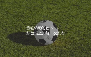 2024年欧洲杯助攻王是谁?齿轮转动的艺术