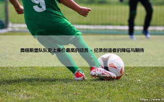 奥格斯堡队史上身价最高的球员