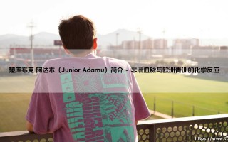 楚库布克·阿达木（Junior Adamu）：从萨尔茨堡新星到欧洲足坛的闪耀之路 楚库布克·阿达木的崛起传奇