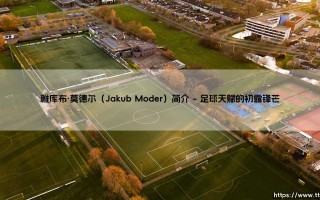 雅库布·莫德尔（Jakub Moder）简介|体坛足球家