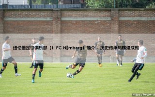纽伦堡足球俱乐部（1. FC Nürnberg）简介攻略