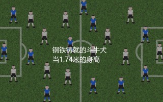 马斯切拉诺身高体重：阿根廷钢铁铸就的斗牛犬