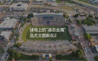 恩佐·马雷斯卡球员时代踢什么位置？意大利足球球场上的"液态金属"