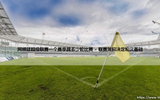阿根廷超级联赛赛季轮次全解析：一个赛季究竟踢多少轮比赛？